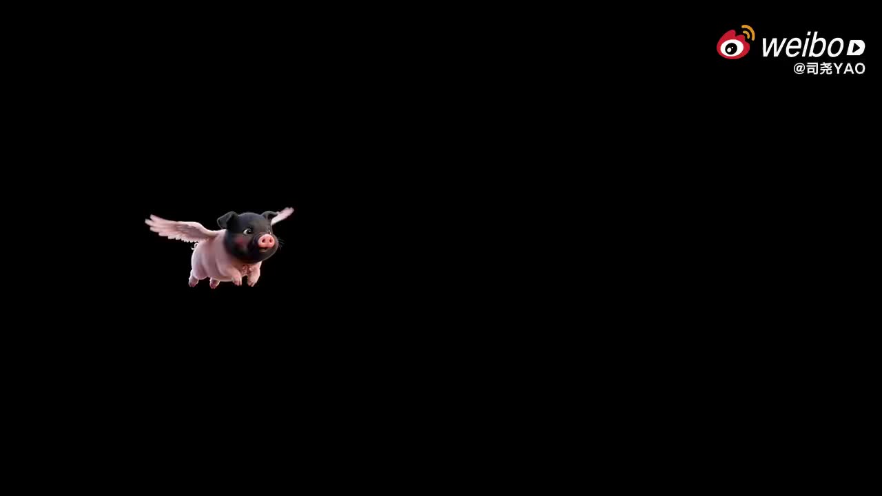 司尧YAO.mp4